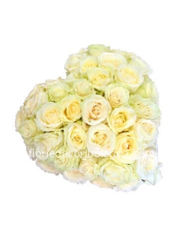 Cuore di rose bianche medio