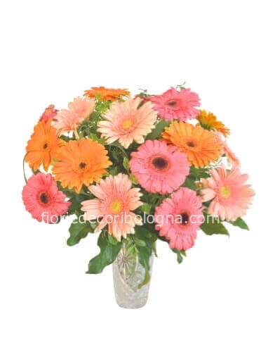 bouquet gerbere 2 colori