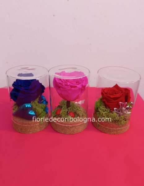 rose stabilizzate colori vari