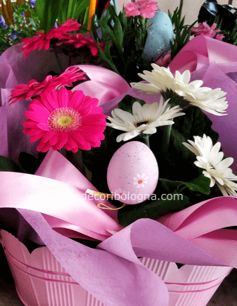 Confezione pasquale con piante 