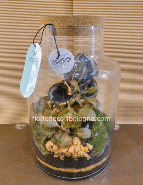 terrarium vaso bombato tappo sughero
