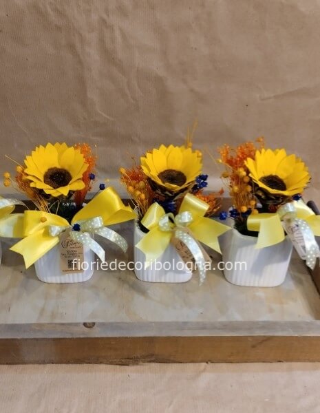 Girasole stabilizzato 